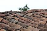 Dachy - jaki rodzaj dachwek warto wybra?
